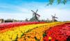 thanhhuong-183024053030-ha-lan