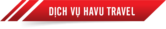 tieude havu vn 01