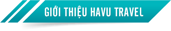 tieude havu vn 04
