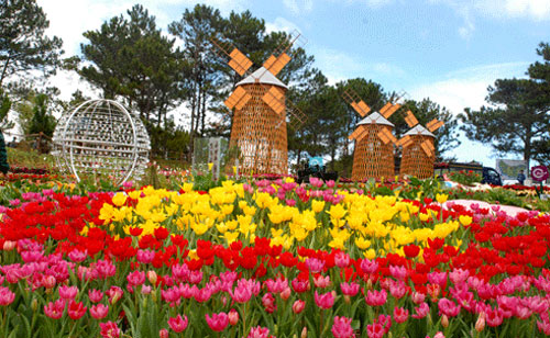 da lat hoi ha chuan bi festival hoa 1